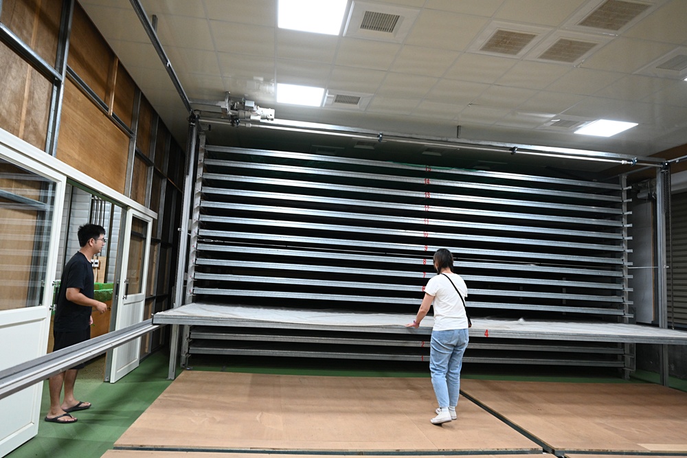 台東一日遊｜新元昌紅茶產業文化館 參觀茶園、茶廠、評鑑、擂茶！