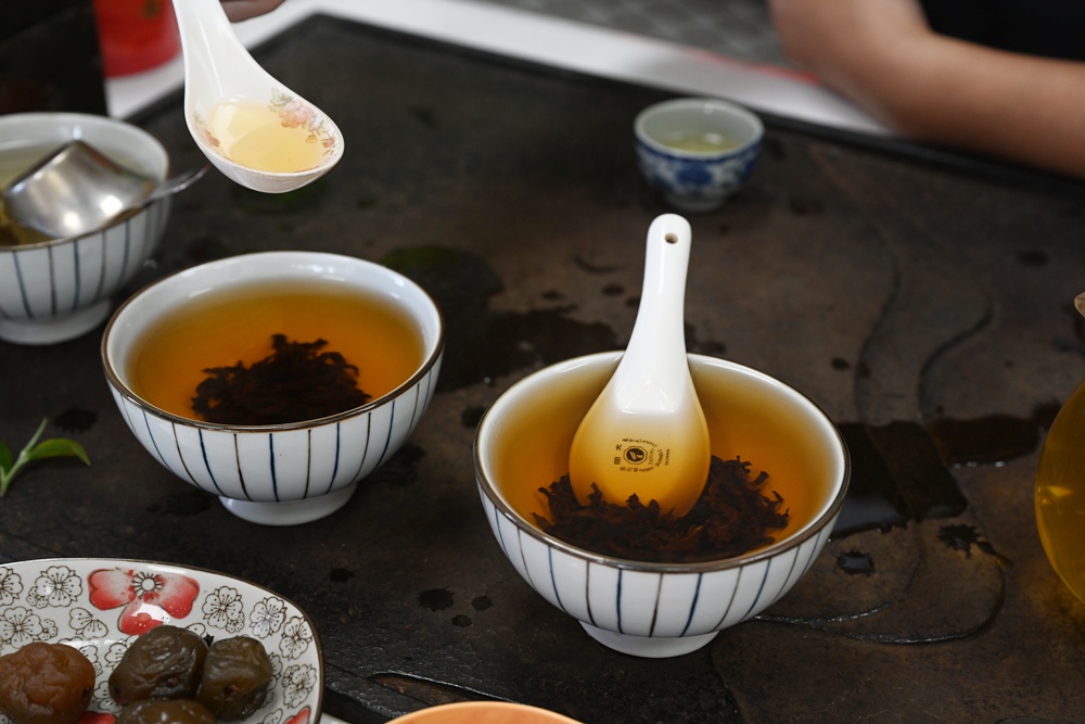 台東一日遊｜新元昌紅茶產業文化館 參觀茶園、茶廠、評鑑、擂茶！