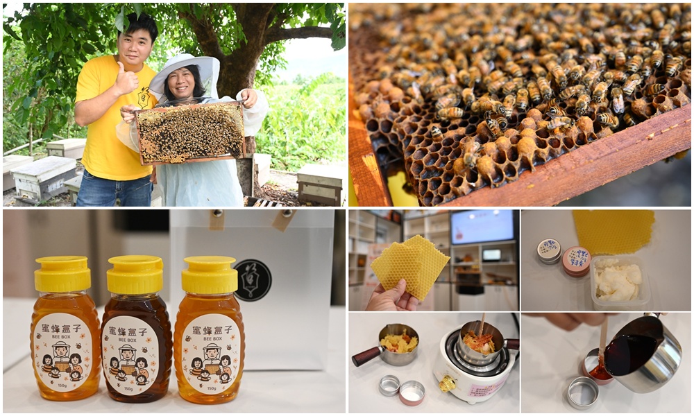 台東一日遊｜蜜蜂盒子Bee Box 近距離觀察蜜蜂、品嘗香甜蜂巢蜜、DIY蜂蠟紫草膏！