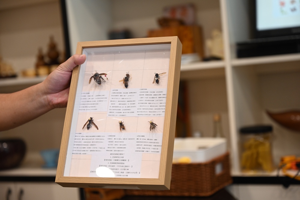 台東一日遊|蜜蜂盒子Bee Box 近距離觀察蜜蜂、品嘗香甜蜂巢蜜、DIY蜂蠟紫草膏! 台東一日遊|蜜蜂盒子Bee Box 近距離觀察蜜蜂、品嘗香甜蜂巢蜜、DIY蜂蠟紫草膏!