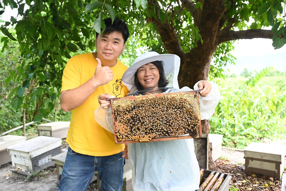 台東一日遊|蜜蜂盒子Bee Box 近距離觀察蜜蜂、品嘗香甜蜂巢蜜、DIY蜂蠟紫草膏! 台東一日遊|蜜蜂盒子Bee Box 近距離觀察蜜蜂、品嘗香甜蜂巢蜜、DIY蜂蠟紫草膏!