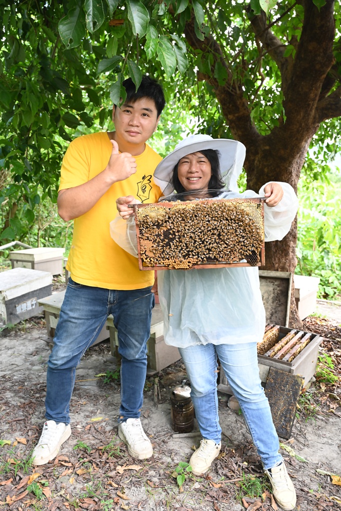 台東一日遊|蜜蜂盒子Bee Box 近距離觀察蜜蜂、品嘗香甜蜂巢蜜、DIY蜂蠟紫草膏! 台東一日遊|蜜蜂盒子Bee Box 近距離觀察蜜蜂、品嘗香甜蜂巢蜜、DIY蜂蠟紫草膏!