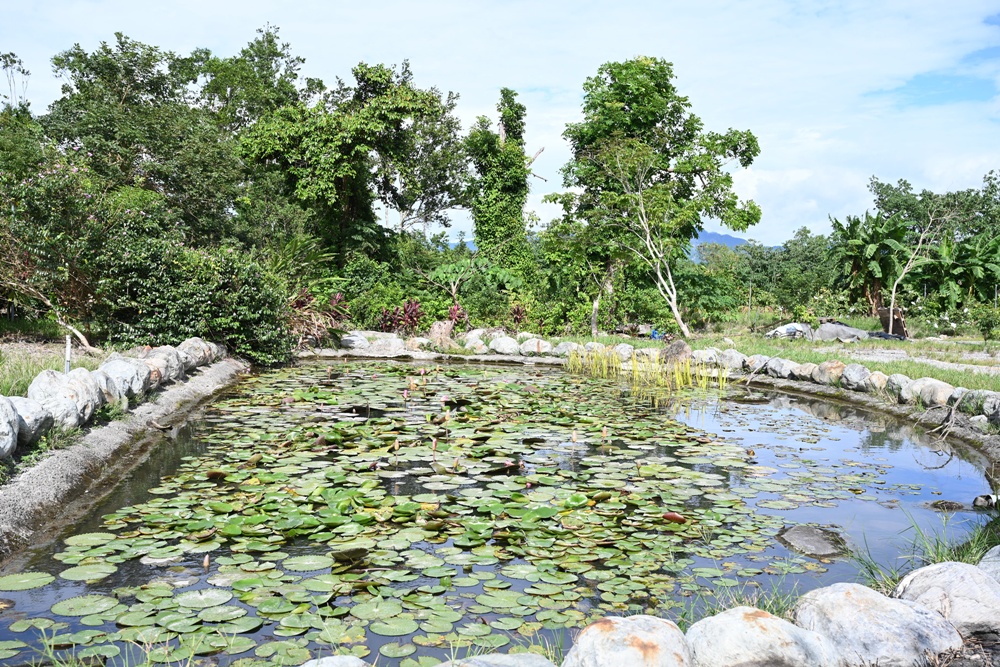 台東一日遊|鹿嘉農莊 LuJia Fram 參觀農莊、盲測品醋、體驗火山泥醋膜DIY! 台東一日遊|鹿嘉農莊 LuJia Fram 參觀農莊、盲測品醋、體驗火山泥醋膜DIY!
