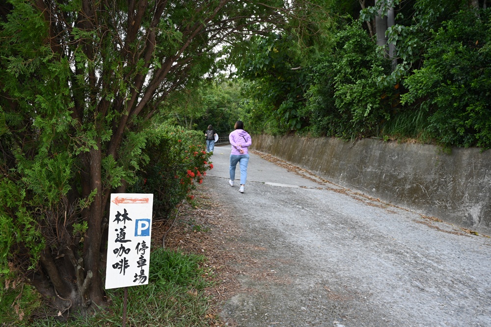 台東最美景觀咖啡！林道咖啡烘豆工作室 Leading Coffee 試飲精品咖啡、享受專業品咖體驗！坐擁360度無敵山海美景！