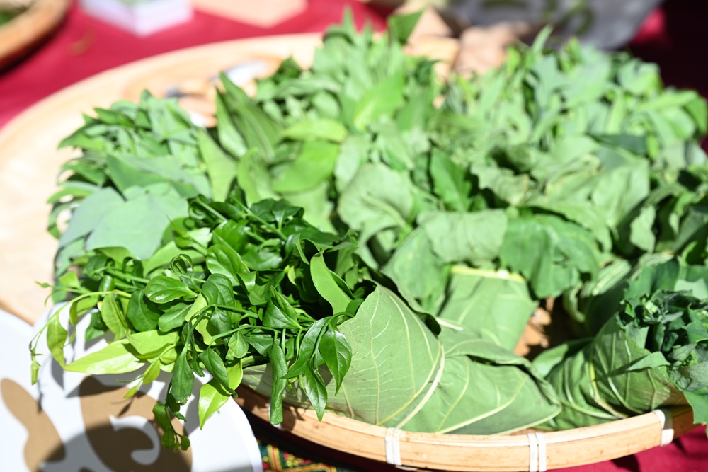 台東旅遊｜南迴山村 隨森慢走漫遊 x 六大體驗 x 大武山生態教育館 x 山林製造！