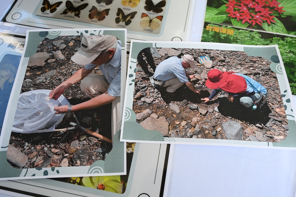 台東旅遊｜南迴山村 隨森慢走漫遊 x 六大體驗 x 大武山生態教育館 x 山林製造！