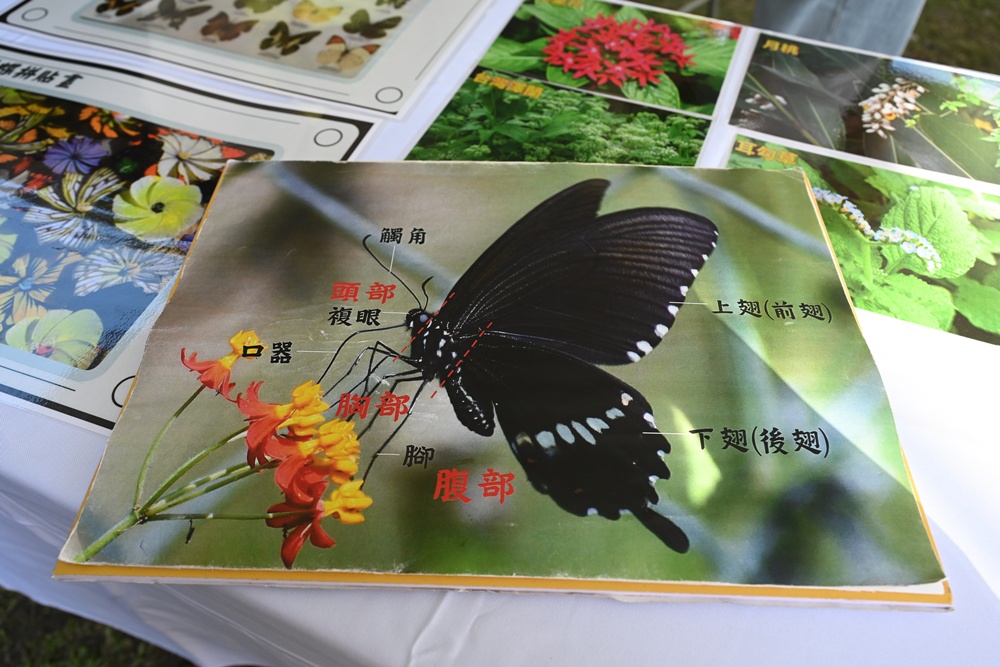 台東旅遊｜南迴山村 隨森慢走漫遊 x 六大體驗 x 大武山生態教育館 x 山林製造！