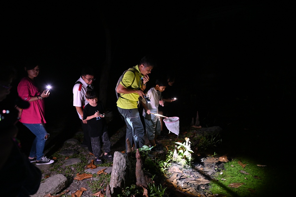 「夜探知森」走進台東知本森林遊樂區 夜訪森林奇幻旅程！