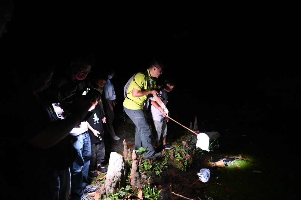 「夜探知森」走進台東知本森林遊樂區 夜訪森林奇幻旅程! 「夜探知森」走進台東知本森林遊樂區 夜訪森林奇幻旅程!