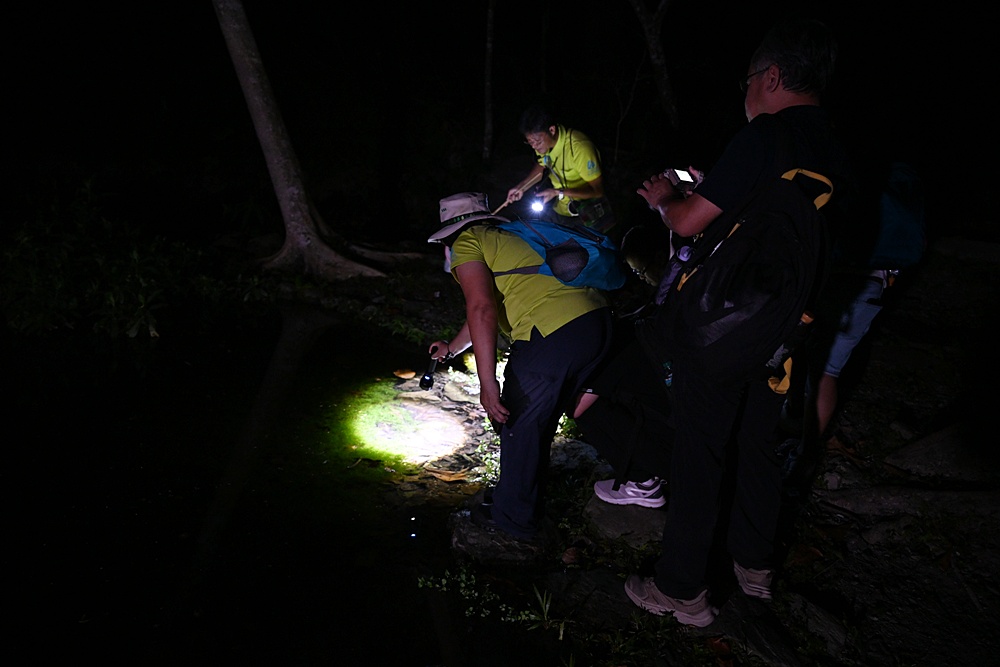 「夜探知森」走進台東知本森林遊樂區 夜訪森林奇幻旅程! 「夜探知森」走進台東知本森林遊樂區 夜訪森林奇幻旅程!