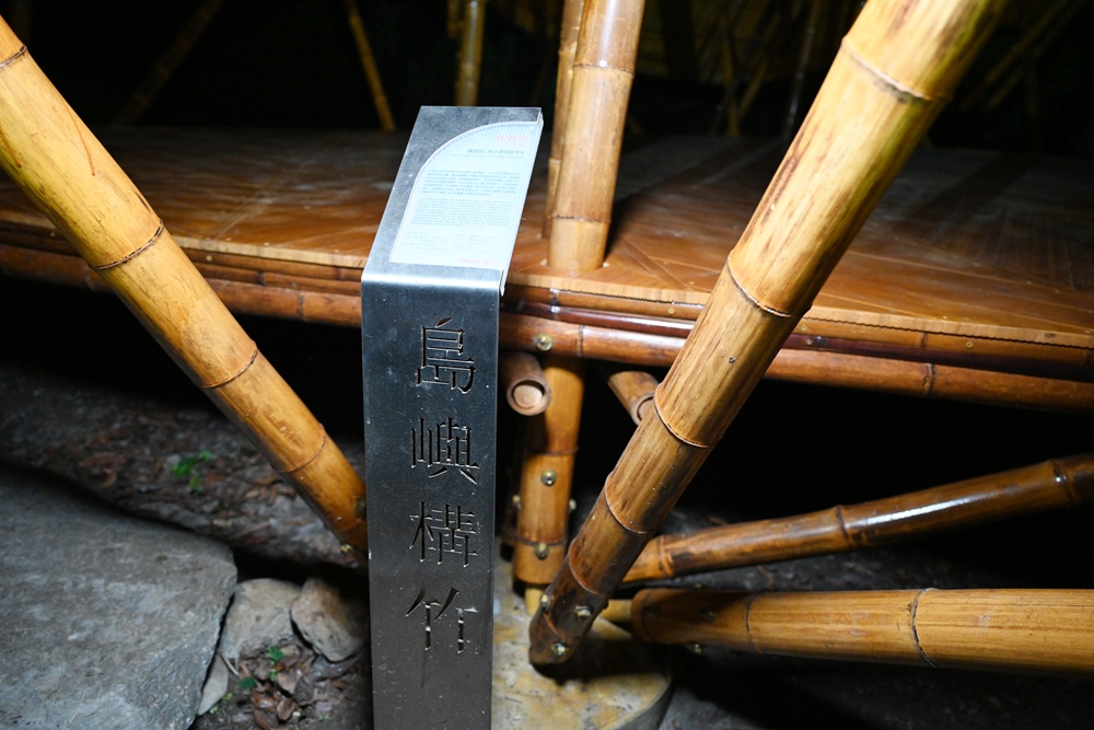 「夜探知森」走進台東知本森林遊樂區 夜訪森林奇幻旅程! 「夜探知森」走進台東知本森林遊樂區 夜訪森林奇幻旅程!