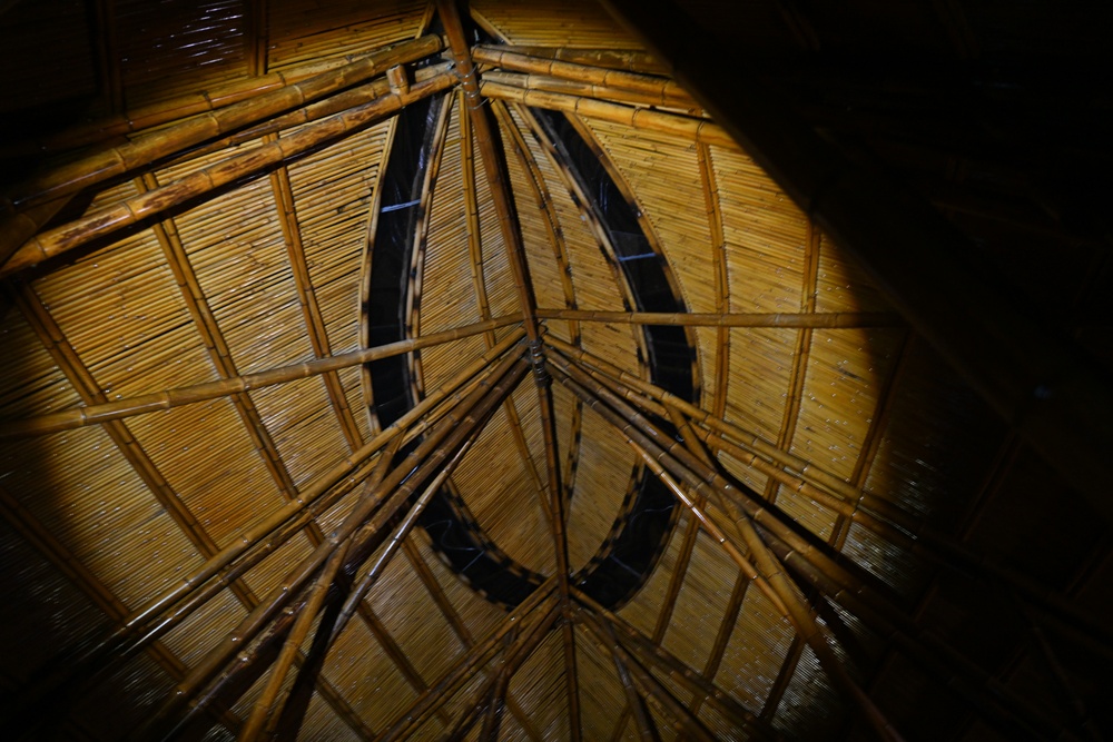 「夜探知森」走進台東知本森林遊樂區 夜訪森林奇幻旅程! 「夜探知森」走進台東知本森林遊樂區 夜訪森林奇幻旅程!