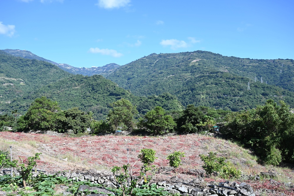 台東二日遊｜嘉蘭部落 部落文化 × 食農 × 山林體驗