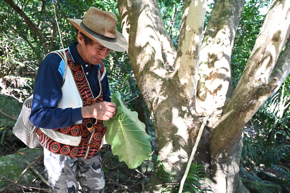 台東二日遊｜嘉蘭部落 部落文化 × 食農 × 山林體驗