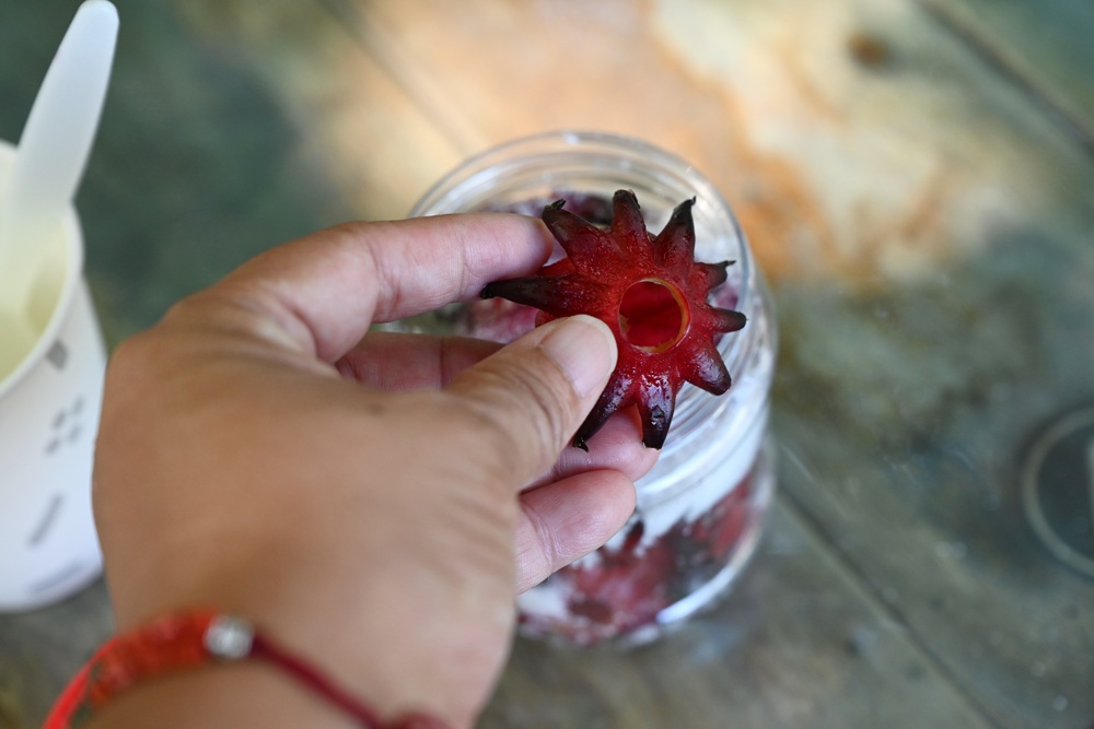 台東二日遊｜嘉蘭部落 部落文化 × 食農 × 山林體驗