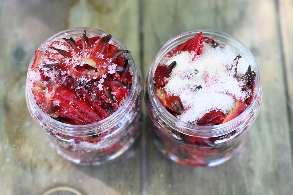 台東二日遊｜嘉蘭部落 部落文化 × 食農 × 山林體驗