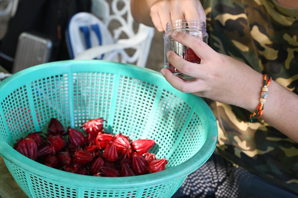台東二日遊｜嘉蘭部落 部落文化 × 食農 × 山林體驗