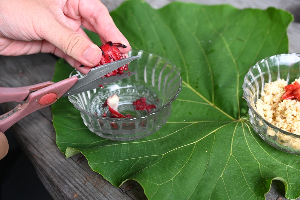 台東二日遊｜嘉蘭部落 部落文化 × 食農 × 山林體驗