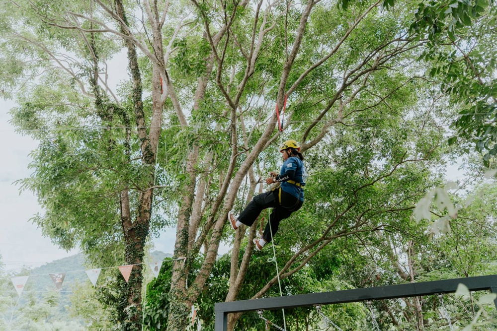 台東景觀餐廳推薦。伴山邀複合式餐飲 180度山景 x 原住民風味餐 x 攀樹、攀岩、繩索垂降