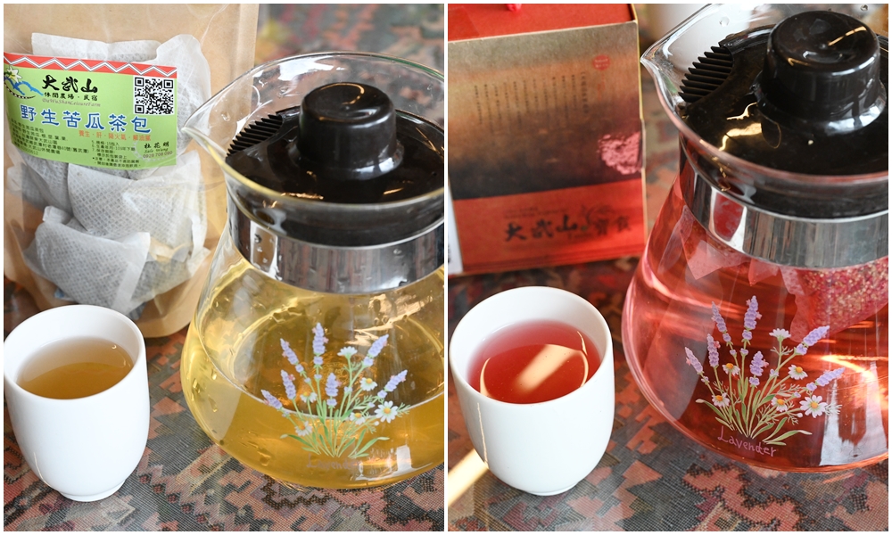 屏東一日遊｜中原世紀休閒農場、大武山休閒農場