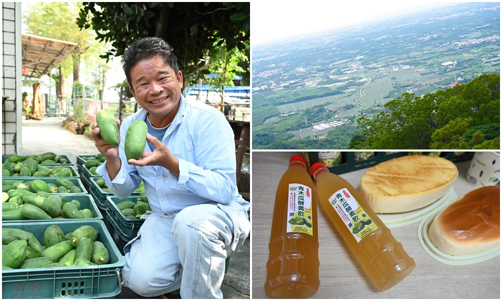 屏東一日遊｜中原世紀休閒農場、大武山休閒農場