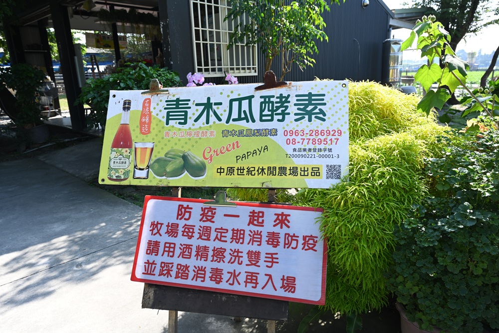 屏東一日遊｜中原世紀休閒農場、大武山休閒農場