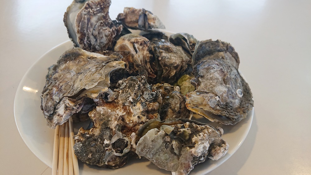 東港大鵬灣冬日低碳小旅行｜在地美食 × 潟湖生態 × 文青伴手禮一日遊！