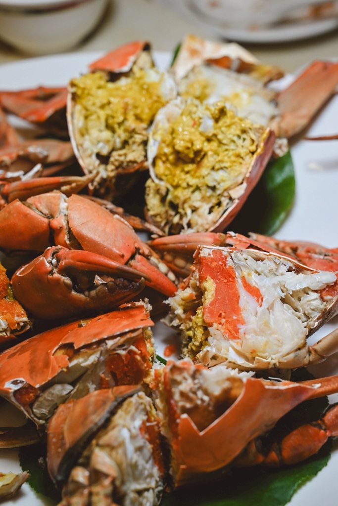 東港大鵬灣冬日低碳小旅行｜在地美食 × 潟湖生態 × 文青伴手禮一日遊！