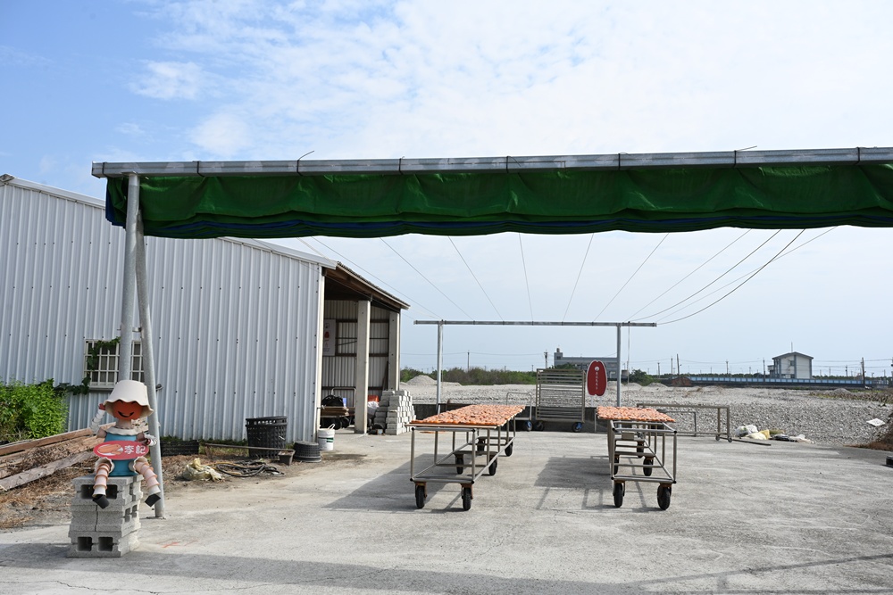 雲林口湖必訪！李記烏魚子 伴手禮、DIY、炙燒烏魚子 一次滿足！