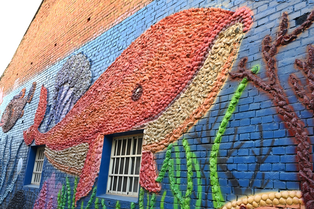 雲林口湖私房景點｜金湖聚落「蚵貝藝術牆」散步秘境！