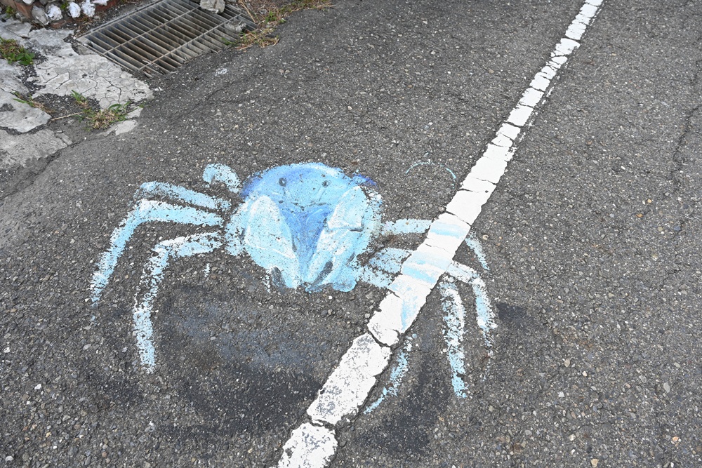 雲林口湖私房景點｜金湖聚落「蚵貝藝術牆」散步秘境！