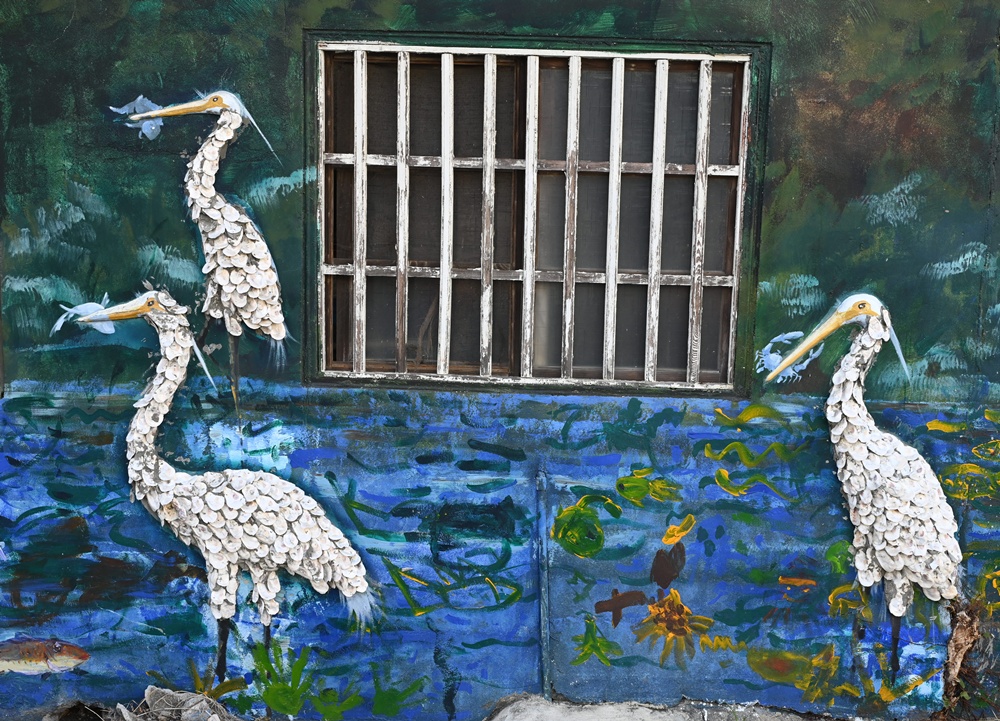 雲林口湖私房景點｜金湖聚落「蚵貝藝術牆」散步秘境！