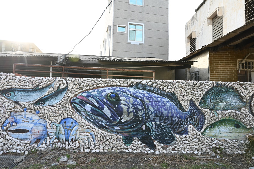 雲林口湖私房景點｜金湖聚落「蚵貝藝術牆」散步秘境！