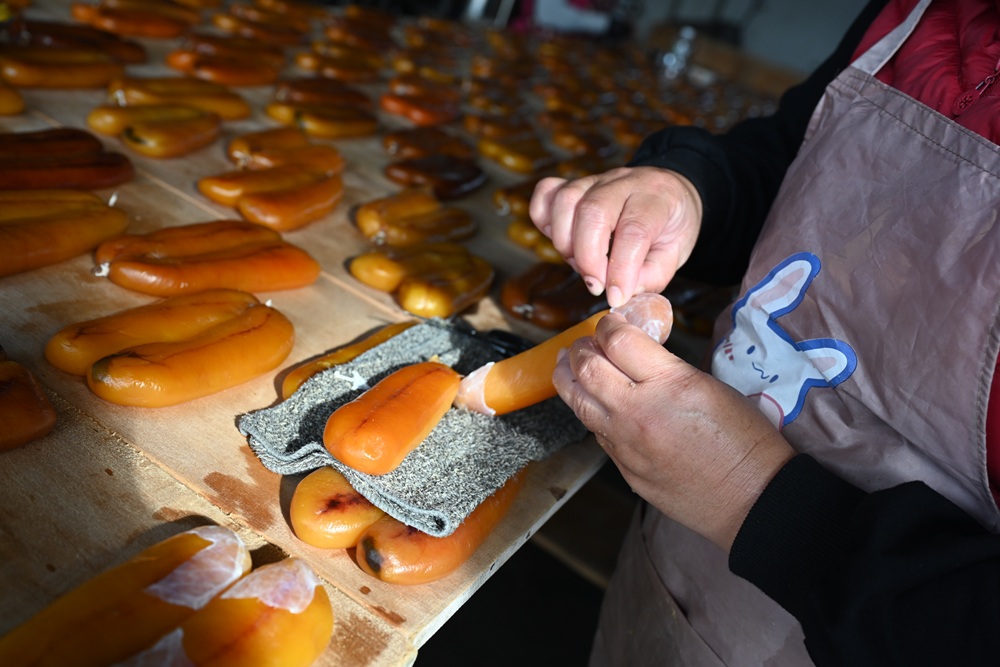 雲林口湖。口福烏魚伯烏魚子 烏金條、蜜蠟烏魚子、血子烏魚子 x 新榮製冰-烏魚子霜淇淋！
