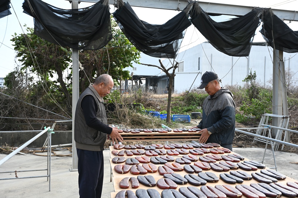 雲林口湖。口福烏魚伯烏魚子 烏金條、蜜蠟烏魚子、血子烏魚子 x 新榮製冰-烏魚子霜淇淋！