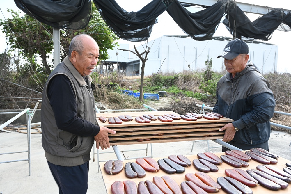 雲林口湖。口福烏魚伯烏魚子 烏金條、蜜蠟烏魚子、血子烏魚子 x 新榮製冰-烏魚子霜淇淋！