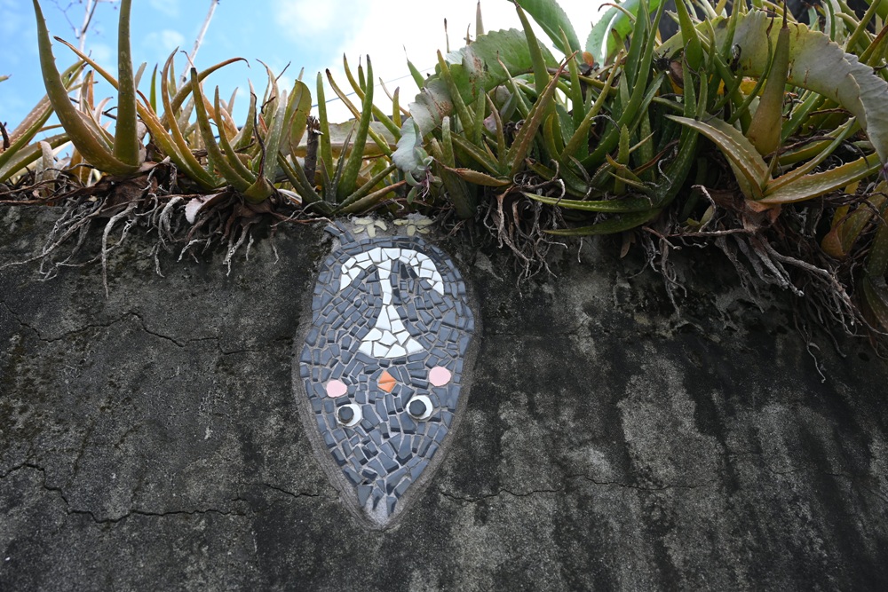 雲林一日遊。椬梧聚落散策、椬梧映月塘、湖口飯吃、水林小黑農 採毛豆、炒黑豆！