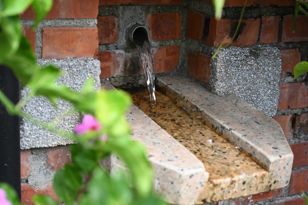 雲林一日遊。椬梧聚落散策、椬梧映月塘、湖口飯吃、水林小黑農 採毛豆、炒黑豆！