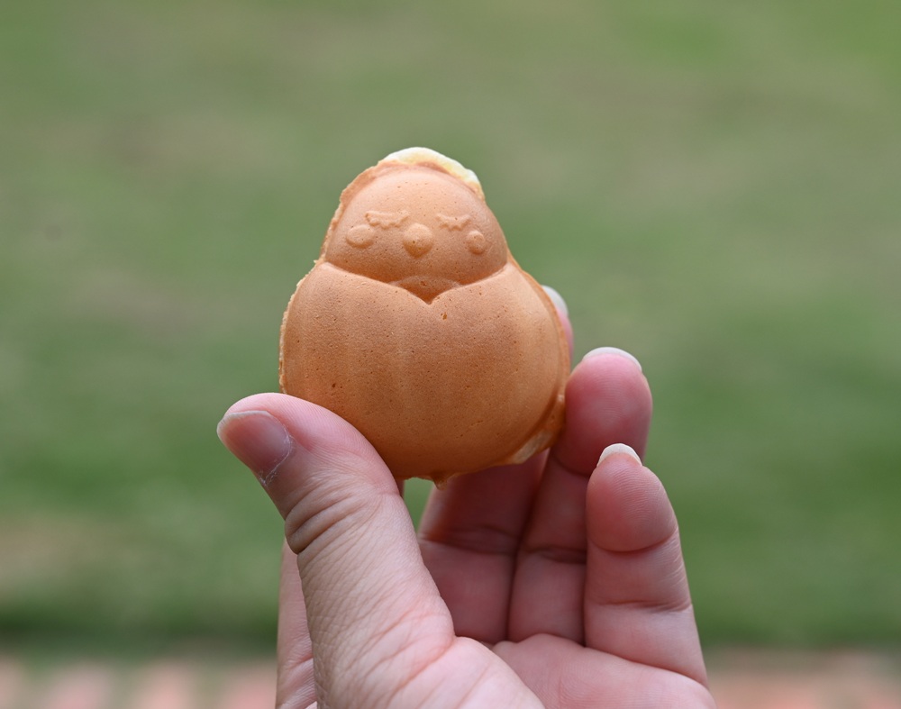 雲林一日遊。椬梧聚落散策、椬梧映月塘、湖口飯吃、水林小黑農 採毛豆、炒黑豆！