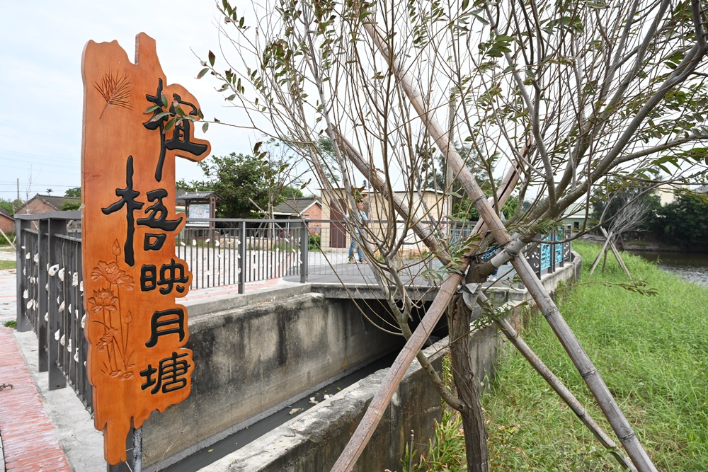 雲林一日遊。椬梧聚落散策、椬梧映月塘、湖口飯吃、水林小黑農 採毛豆、炒黑豆！