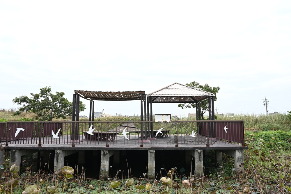 雲林一日遊。椬梧聚落散策、椬梧映月塘、湖口飯吃、水林小黑農 採毛豆、炒黑豆！