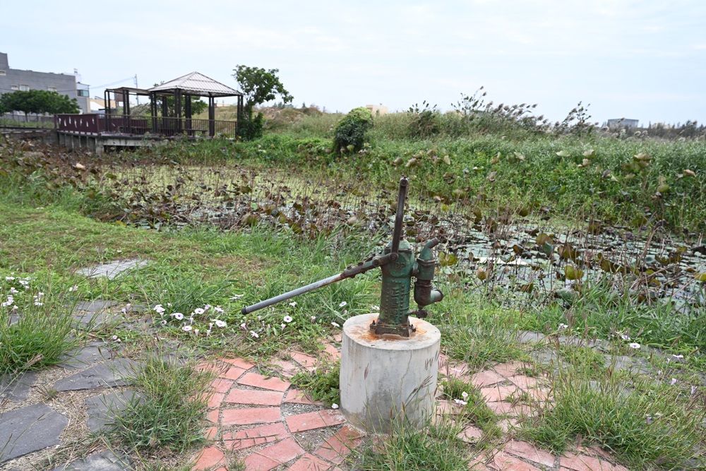 雲林一日遊。椬梧聚落散策、椬梧映月塘、湖口飯吃、水林小黑農 採毛豆、炒黑豆！
