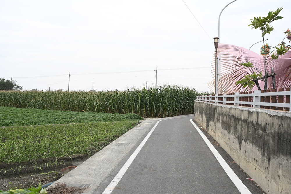 雲林一日遊。椬梧聚落散策、椬梧映月塘、湖口飯吃、水林小黑農 採毛豆、炒黑豆！