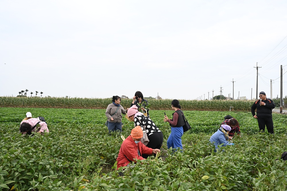 雲林一日遊。椬梧聚落散策、椬梧映月塘、湖口飯吃、水林小黑農 採毛豆、炒黑豆！