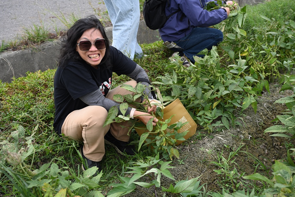 雲林一日遊。椬梧聚落散策、椬梧映月塘、湖口飯吃、水林小黑農 採毛豆、炒黑豆！