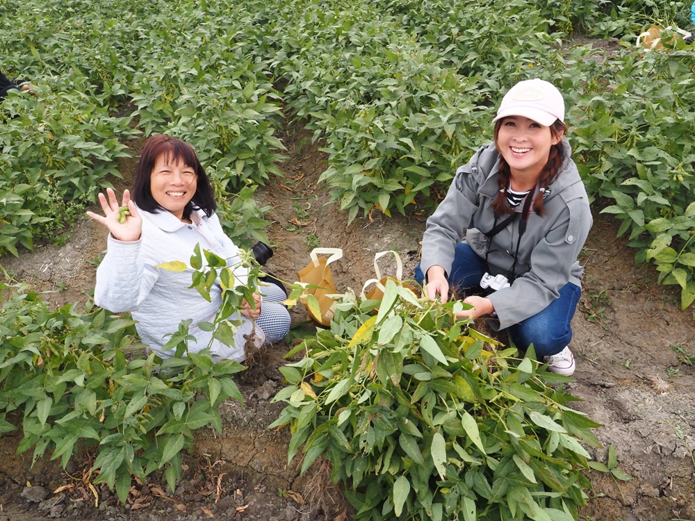雲林一日遊。椬梧聚落散策、椬梧映月塘、湖口飯吃、水林小黑農 採毛豆、炒黑豆！