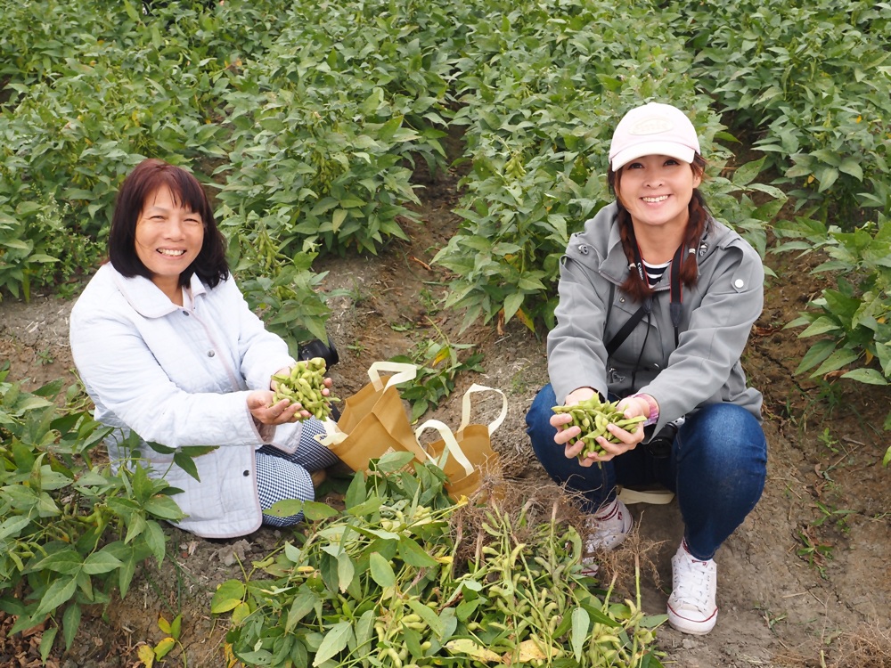 雲林一日遊。椬梧聚落散策、椬梧映月塘、湖口飯吃、水林小黑農 採毛豆、炒黑豆！