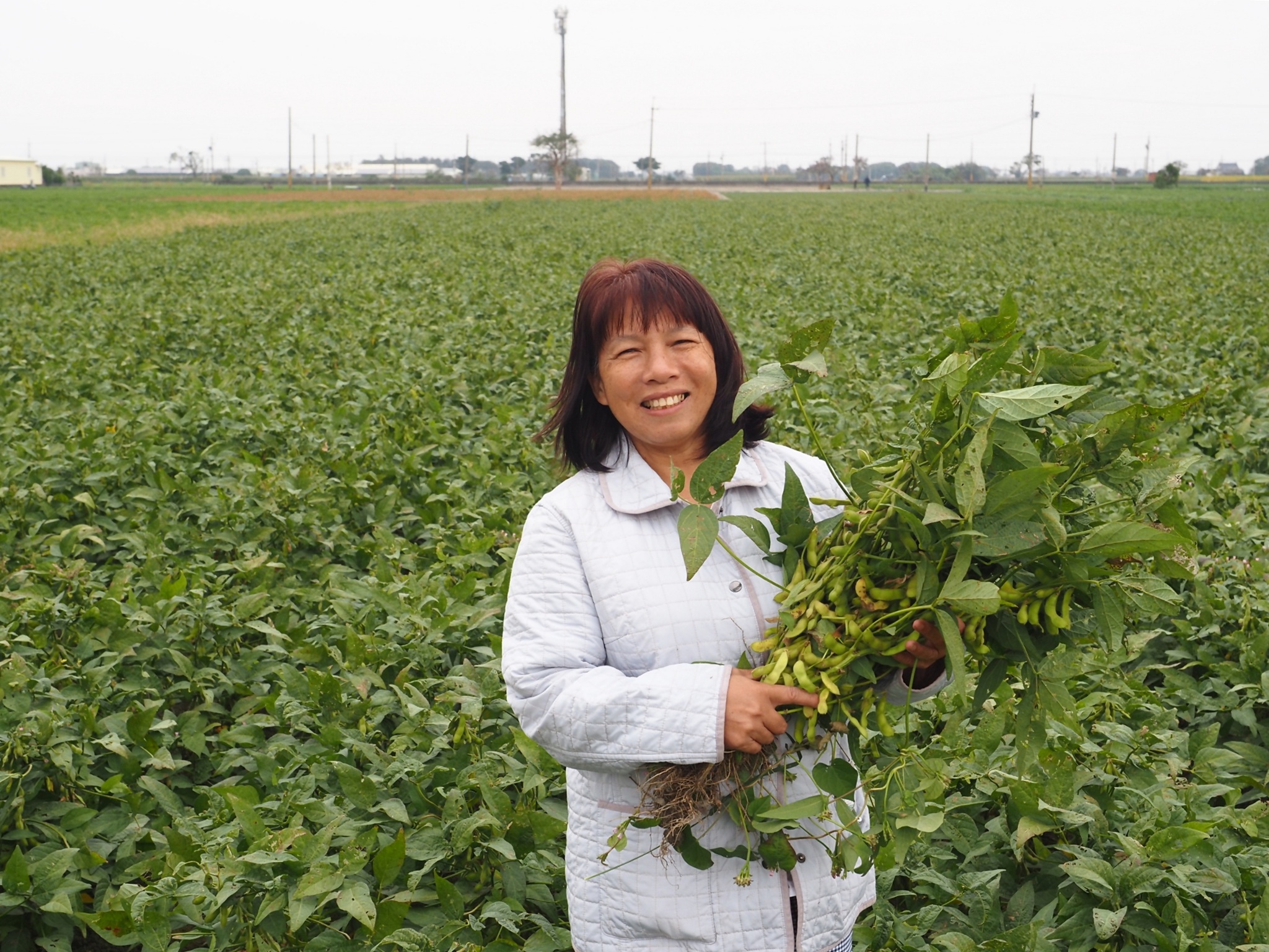 雲林一日遊。椬梧聚落散策、椬梧映月塘、湖口飯吃、水林小黑農 採毛豆、炒黑豆！
