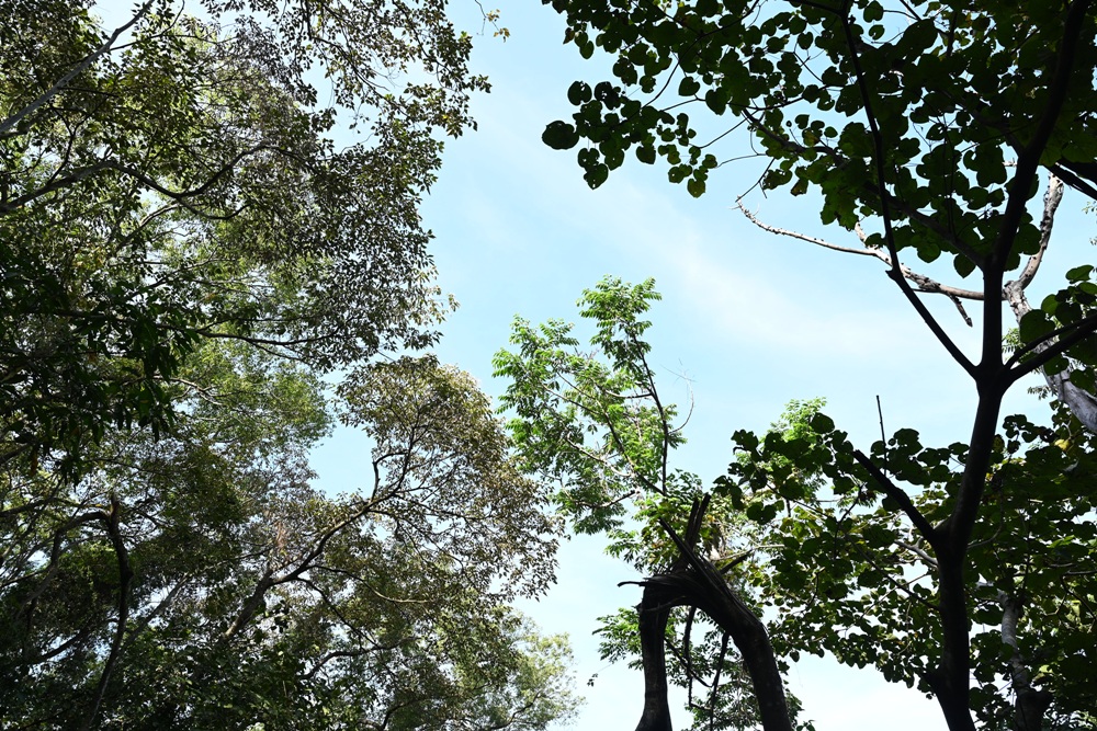 南投一日遊。雙龍七彩吊橋、雙龍瀑布、雙龍瀑布水圳步道! 南投一日遊。雙龍七彩吊橋、雙龍瀑布、雙龍瀑布水圳步道!