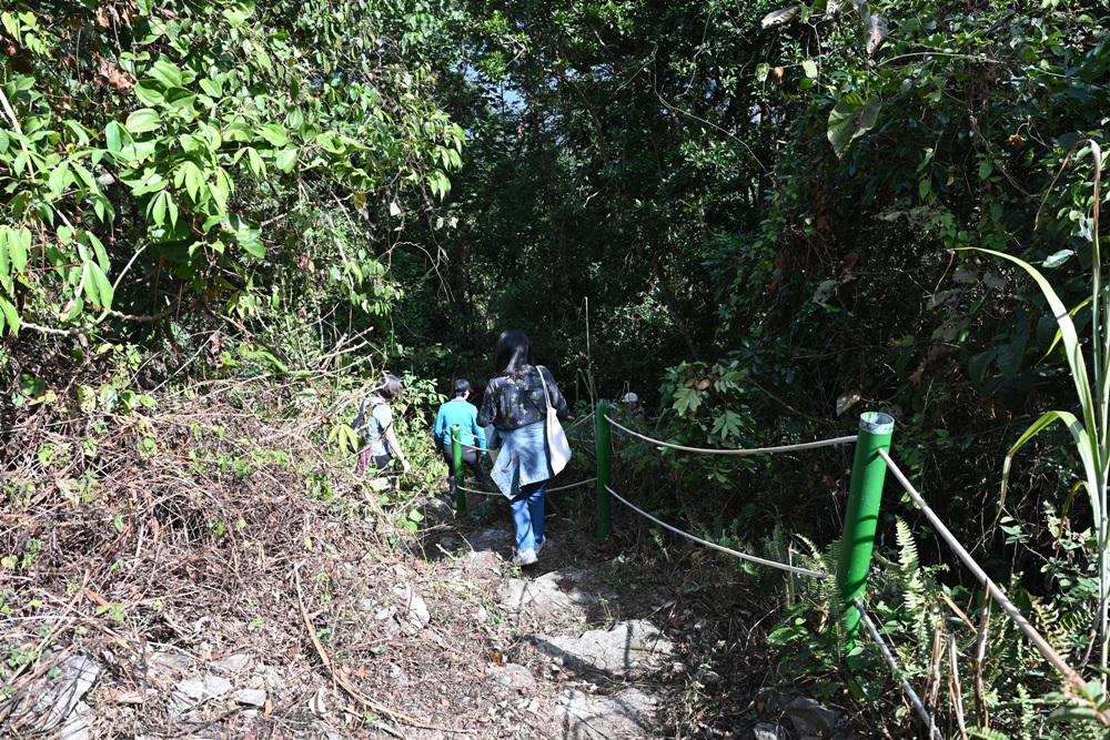南投一日遊。雙龍七彩吊橋、雙龍瀑布、雙龍瀑布水圳步道! 南投一日遊。雙龍七彩吊橋、雙龍瀑布、雙龍瀑布水圳步道!